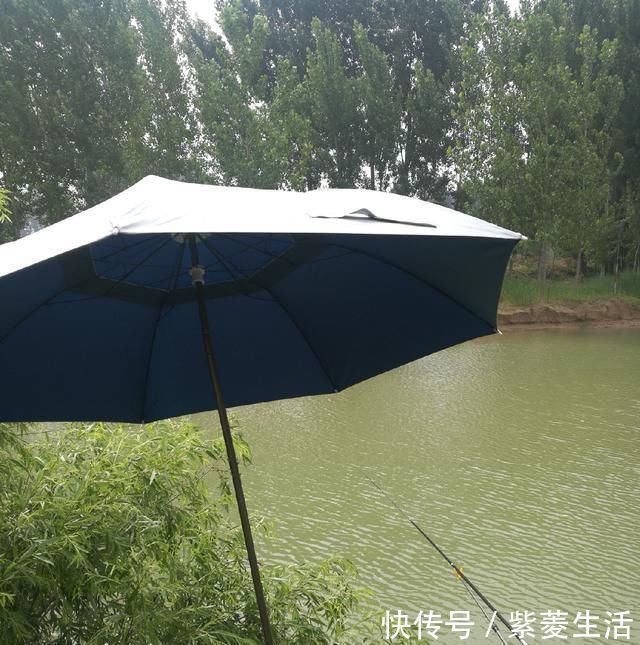 技巧|浑水也能钓鱼,老司机漫谈夏季浑水钓鱼技巧