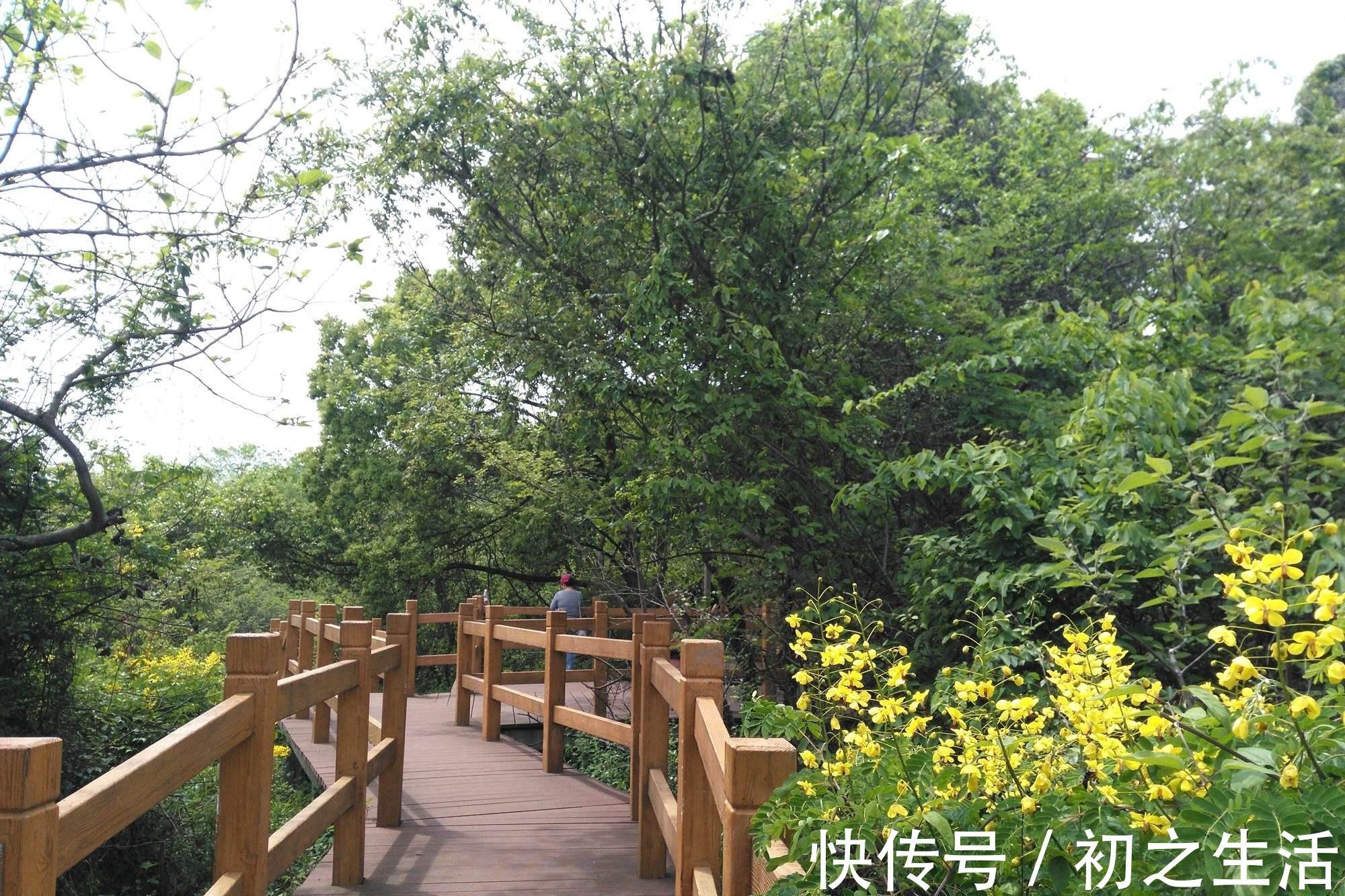 男人四十|男人老没老，看脸就知道，若有这3个特征，说明老了，别不承认