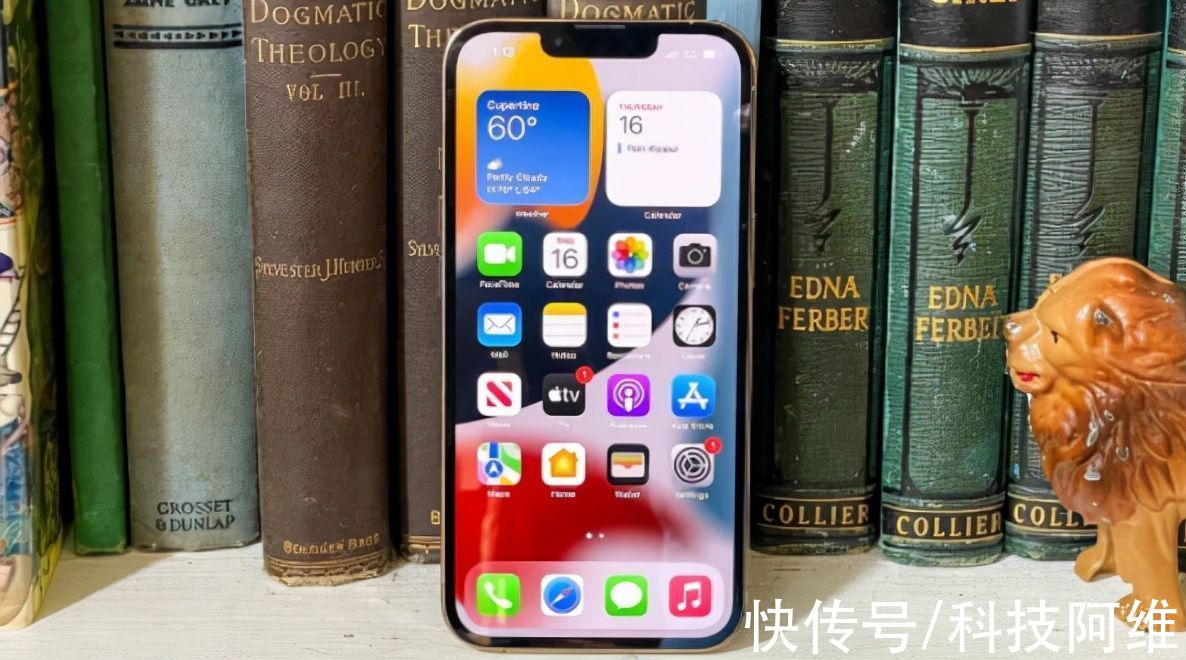 iphone13|京东双11手机单品热销排名：iPhone12仅排第三，第一名无可撼动