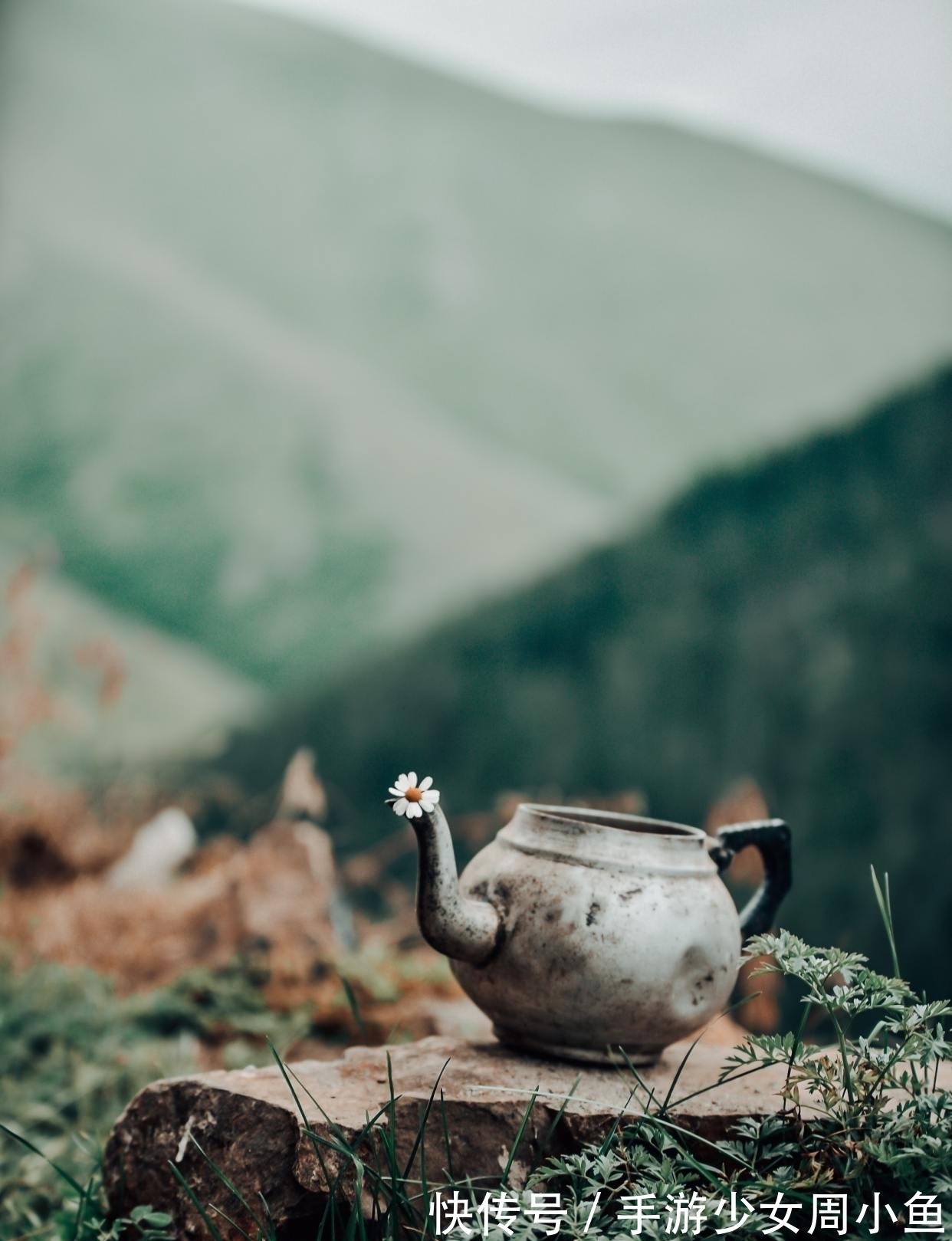 刘禹锡&刘伯温辞职之后写下一诗,4句大白话很接地气,结尾吐槽幽默生动