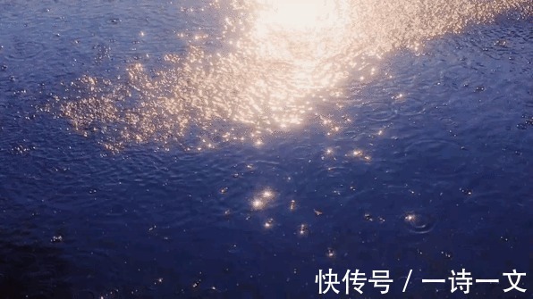 风雨|一草一木,都是人间风雨