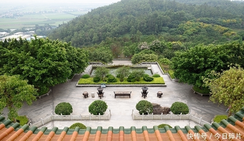 身离|90岁老僧的说:离开这贪心,清净心在哪里?能懂就开悟了