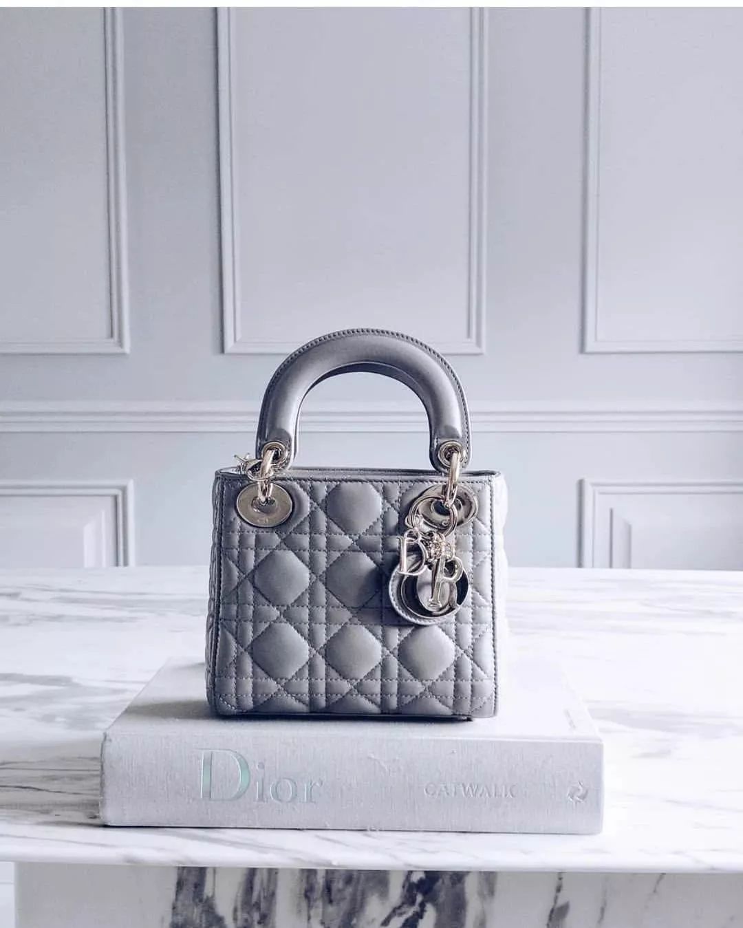 Dior Book Tote刺绣托特包都没想到会这么火 天合乐学帮助家长发现孩子的更多可能