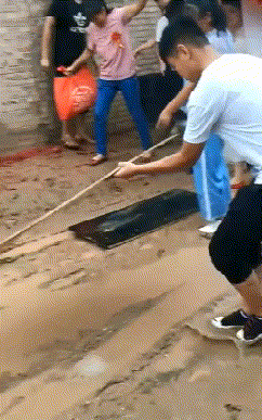 |搞笑GIF:你都看到了,她自己打自己的,我可没动手