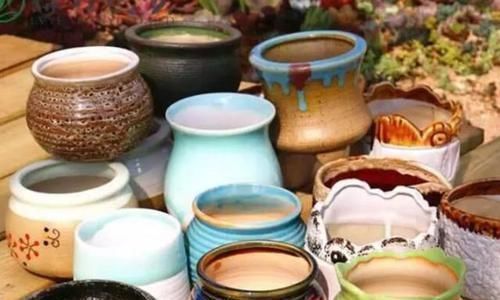 养花还在买花盆学会一招，再不用多花一分钱，一捡一大堆