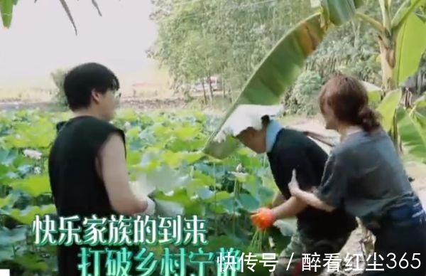 內(nèi)情|快樂家族空降向往4，卻唯獨(dú)缺了謝娜何炅不小心說內(nèi)情后，早料到