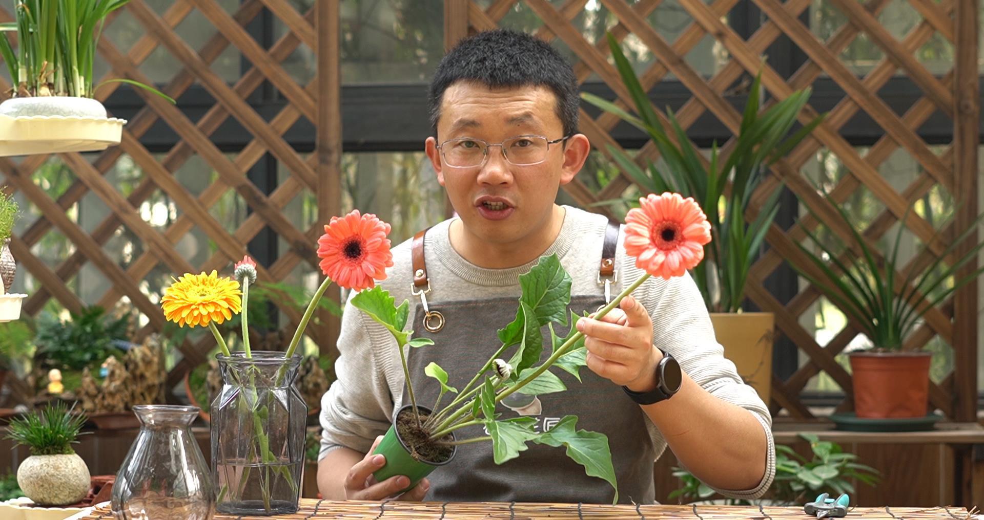 新手|家家户户都能养得6种“耐热花”,天气越热越开花,新手也能养好