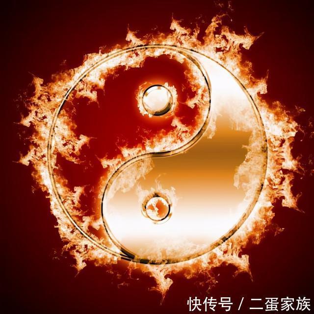 万物|平生不读《道德经》,纵称英雄也枉然;君不见假燕窝之事呼?