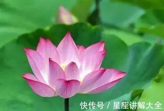 桃花|12月底，4属相开门大吉，喜鹊送大喜，事业棒桃花旺，生活美满