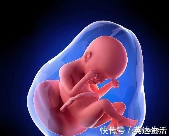 宝宝|胎儿总一动一动的,在干嘛呢?不一定是胎动,可能在练习这件事!