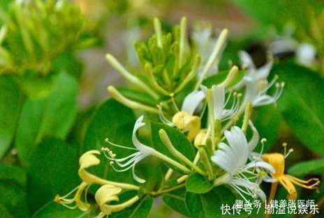 女人愛美要會吃,推薦3種食物每天吃一些,排毒養(yǎng)顏,好處多多