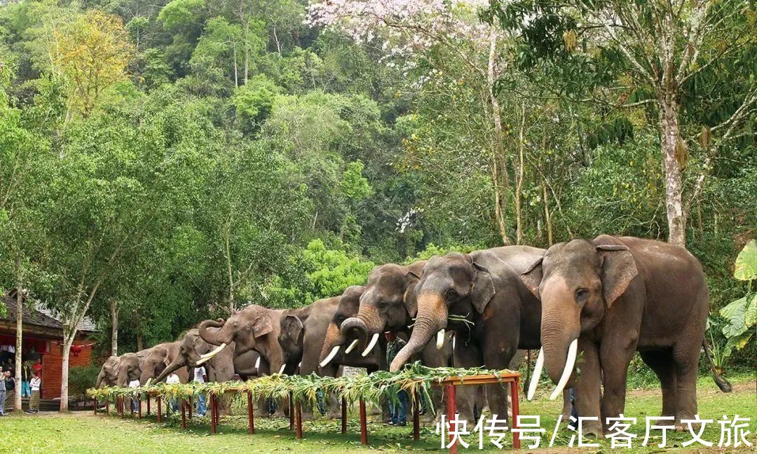 北回归线|北纬21°，北回归线上唯一绿洲，目之所及皆是浓郁的东南亚风情