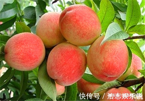 毒素|中年人身体需保养，要坚持吃4种食物，排出毒素，促进血液循环