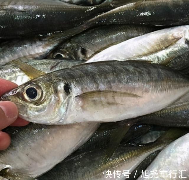 吃法|天热吃鱼,内行人专挑这4种海鱼,营养美味还便宜,再贵也值得