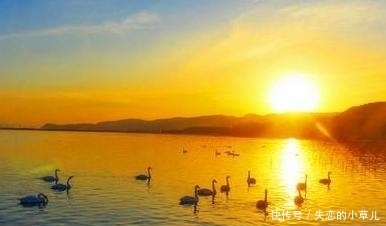 制作|《电锯人》宣布动画化,由MAPPA制作,先导图已放出!