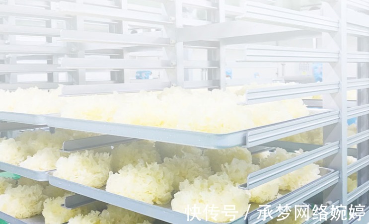 银耳|上海一女子,坚持每天吃银耳养颜,连吃几天后,皮肤怎么样了?