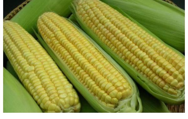 保鲜膜|嫩玉米吃不完，别直接冷冻，教你3招，放1年还鲜嫩好吃！