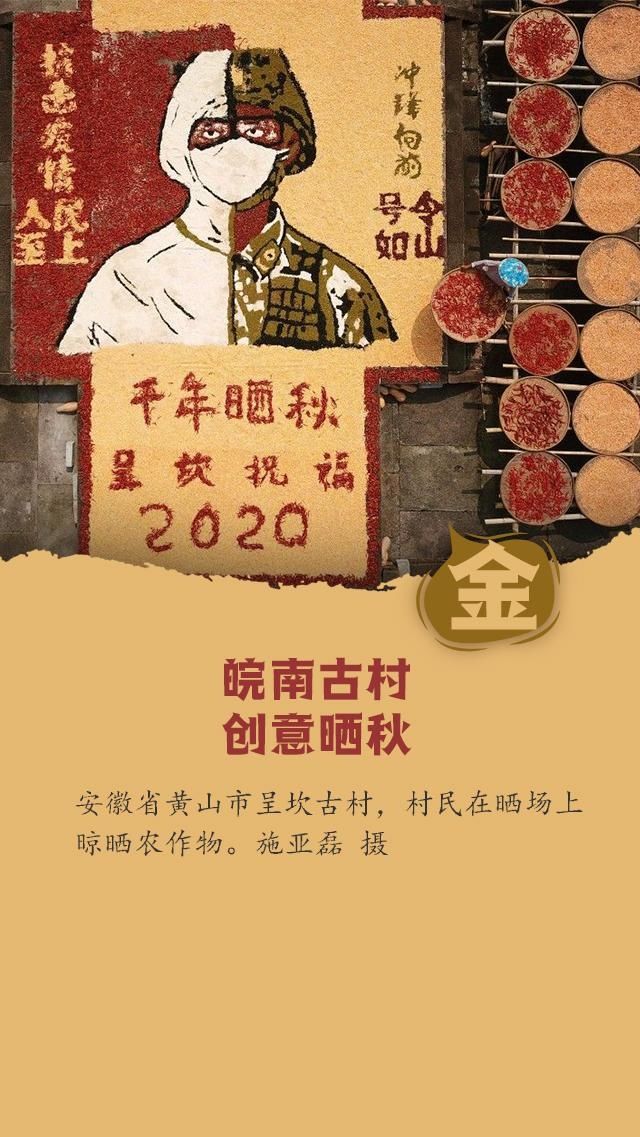 最美|五彩四季！这是2020年最美的颜色