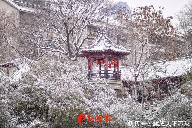 太美了！一场雪后，济南护城河云雾润蒸成“仙境”