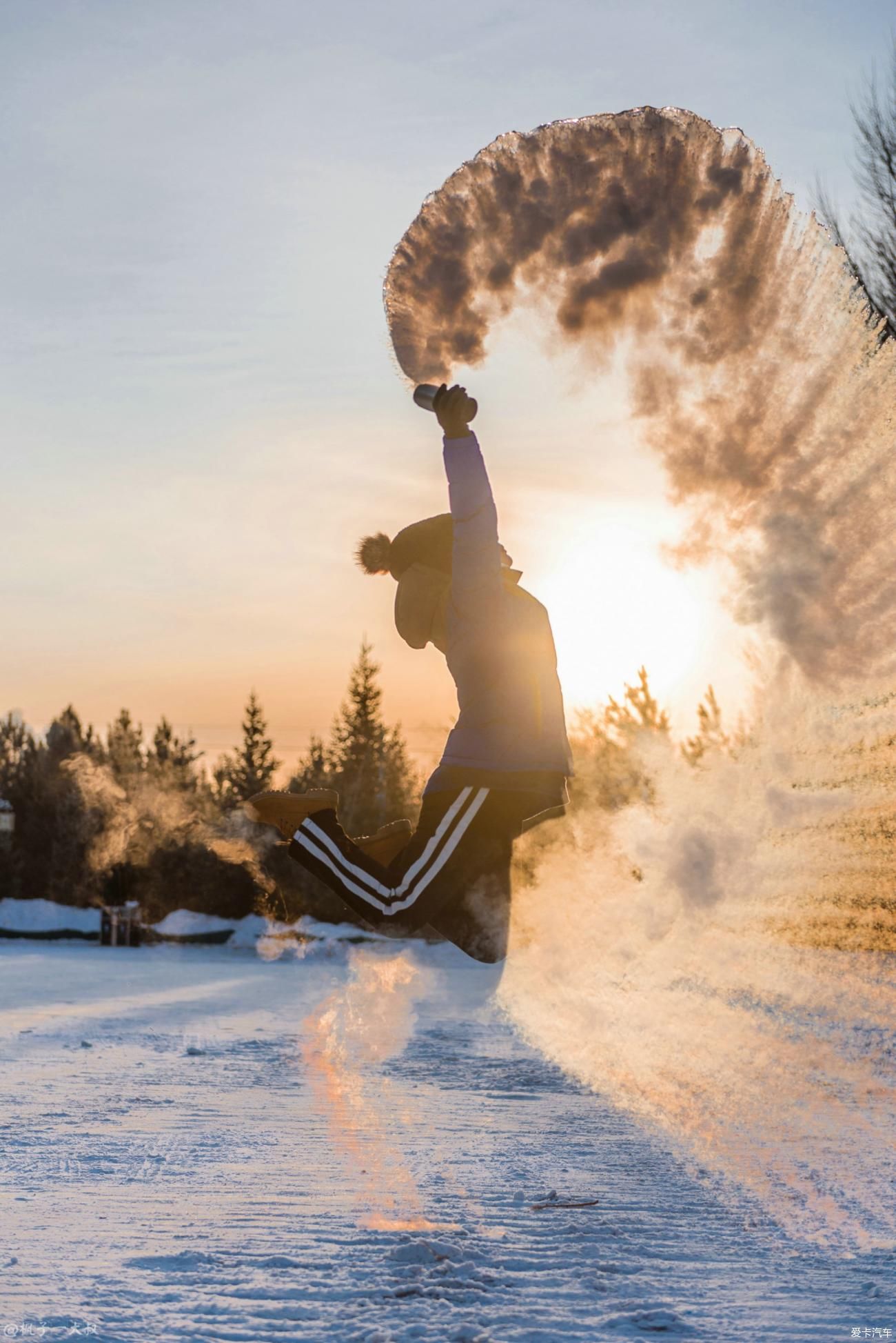 骆驼|屁股在冰雪草原骑开了花，但这里的空气是甜的