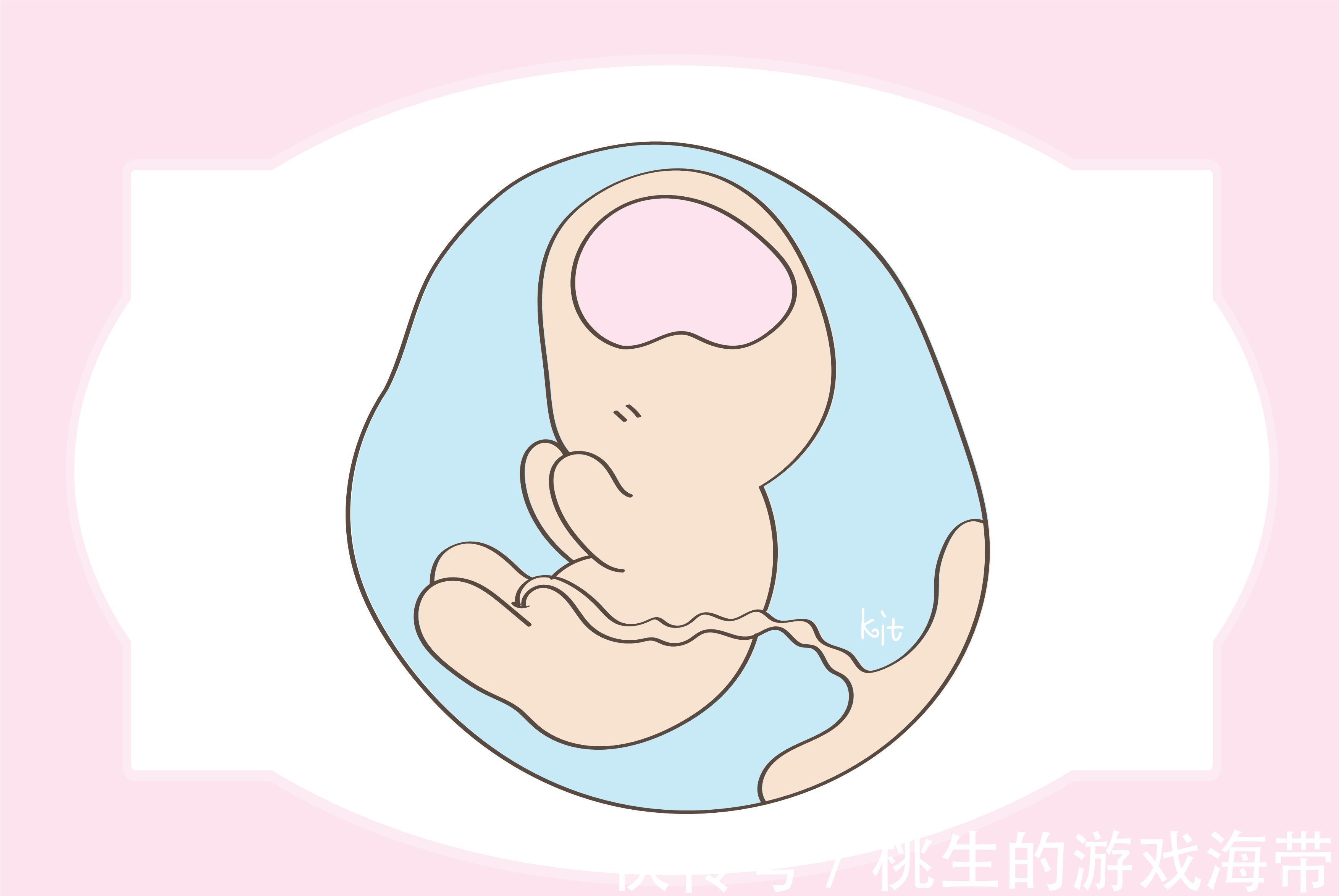 智商|孩子智商高不高?孕期表现就能看得出,孕妈对号入座