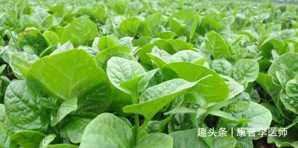 养护|女性不想早衰,多吃的好食物,排毒养颜,养护肝脏,吃了气色好