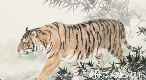 虎朋友|生肖虎、生肖兔、生肖鼠，下半年的好运在哪里？工作亮眼，有好事