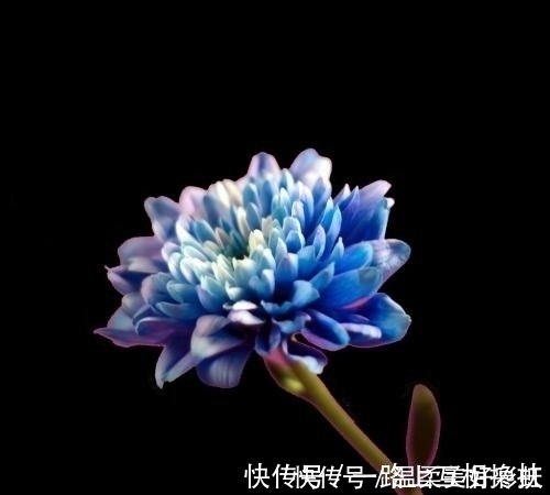 好运|算命先生：出生在每年这三月的人，天生好运围绕，注定富贵相伴