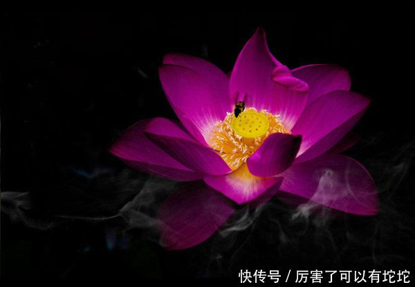 家庭和睦|死在嘴上,病在腿上!专家:可惜现在很多人都不懂养生!