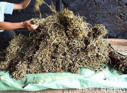 这5种蔬菜晒干后，比新鲜的还美味，多晒点囤起来，冬天拿来炖肉