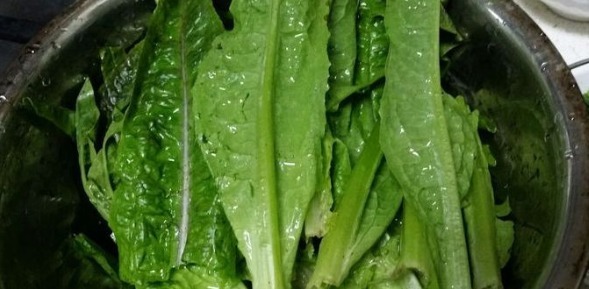 皱纹|女性不想老得快,此菜每天吃两口,延缓皱纹生长,肌肤水嫩有光泽