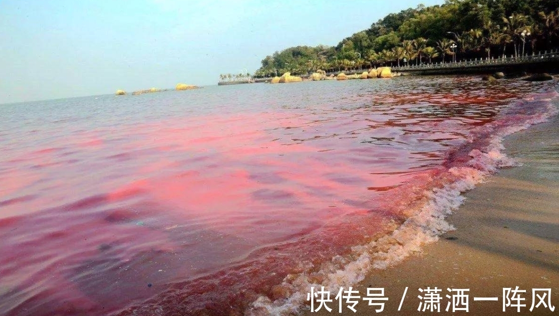 剧毒|比眼镜蛇毒强80倍的剧毒,为何出现在吃了几十年的海鲜里?