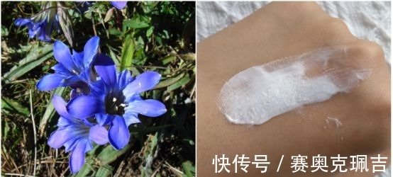 大揭秘|氨基酸洗面奶大揭秘!不要再被骗了,真正的氨基酸洗面奶是它们?