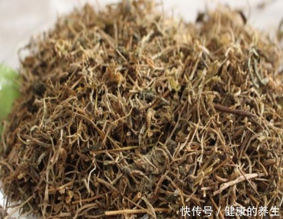 河边一“野草”,栽进花盆中,2个月爆盆,长大就成“心肝宝贝”!