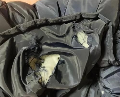 校服|孩子每次回家都说冷,宝妈怀疑校服有问题,剪开校服后宝妈哭了