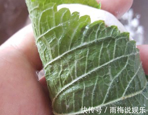 小吃|东北的特色小吃“粘耗子”,您吃过吗做法简单,让人百吃不厌