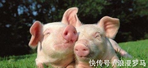 安腾|8个含金量很足的生活常识,课本上也不一定学的到哦!