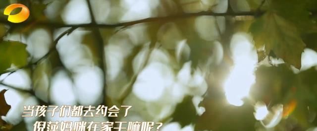 倪萍：捞金陶冶情操两不误，一边录节目一边为《怦然再心动》作画