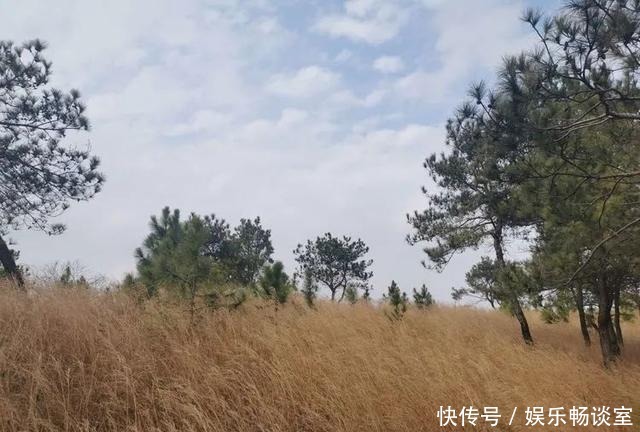 故乡山，家乡情