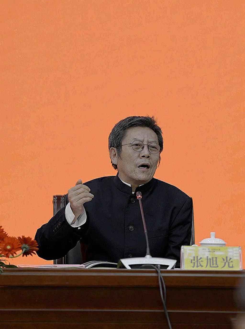 草书!理论偏激,张旭光的草书还没脱离汉字,但是他的理念有问题