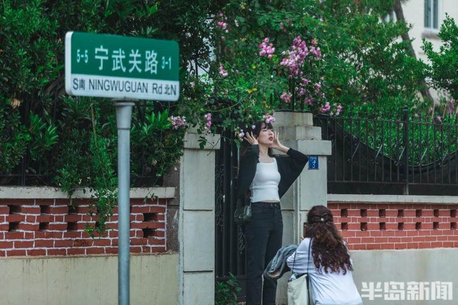 蔷薇|雨润八大关，满架蔷薇一院香！