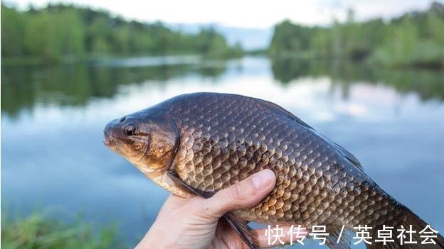 技巧|钓鱼高手不会告诉你的诱饵与技巧,小鱼不闹窝,大鱼全上钩!