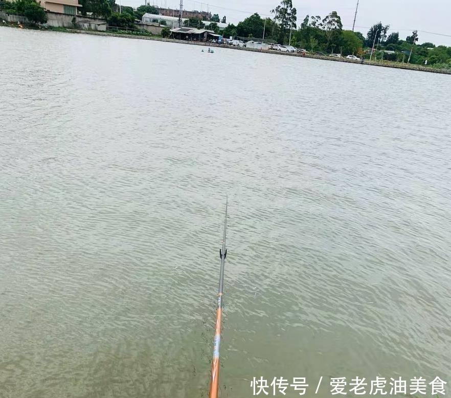 大鱼|6月份钓鱼,最好选这两个鱼开口的时间段,一小时比平时半天还多!