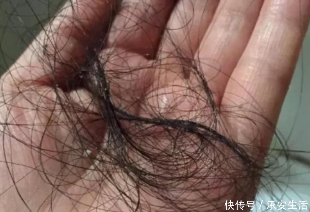 头发多久洗一次最正常？理发师建议：超过这个数，头发会越来越油