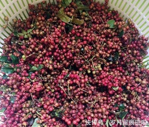 自制花椒油,万万不可直接下锅炸,记住这个方法,花椒油又麻又香