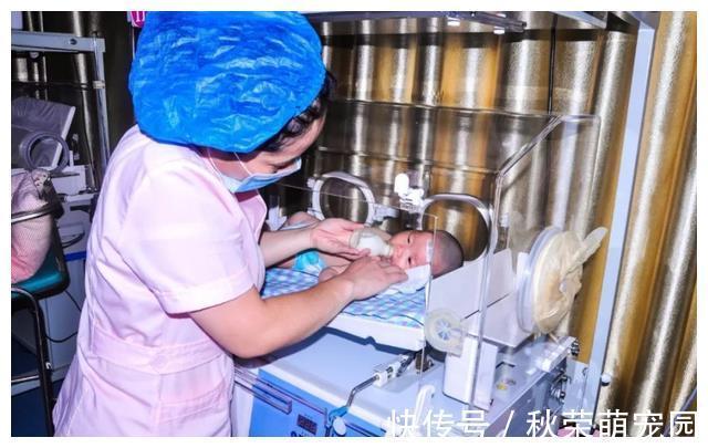 宝宝|儿科医生:想要宝宝出生没黄疸,孕期坚持“3不做”,别不当回事