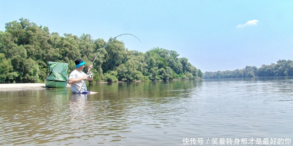 原则|夏钓鲫鱼，掌握这三个原则以及蚕豆粉的妙用，鲫鱼只能乖乖入护