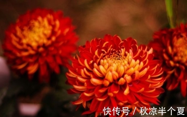 贵人|10月份,好运降临,贵人相助,事业蒸蒸日上,财运亨通