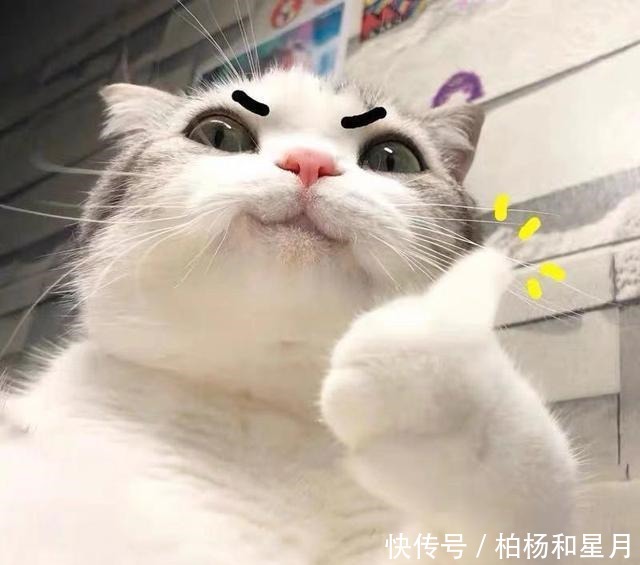  薇娅带火的5款零食，若工资允许，上班族要多囤，解馋好吃又量大