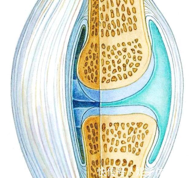 患者|膝盖疼，就是得滑膜炎了？医生辟谣，教您一步步判断自己的病因